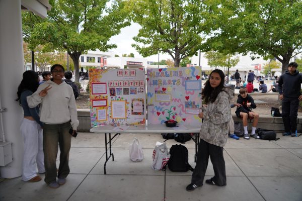 Apoorva Gudisay, left, and Disha Chhabra showcase the HER Palette and Healing Hearts Club posters at the club fair. 