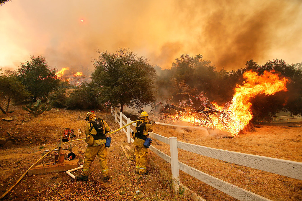 Firefighters fight a raging blaze in the hills of Los Angeles. The fire was first sparked by the strong Santa Ana winds on Jan. 7 and killed at least 29 people, according to NBC News. 