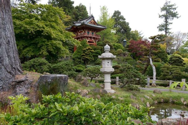 The Japanese Tea Garden located in San Francisco’s Golden Gate Park provides visitors with a lot of unique views and charm, and is one of the many attractions in the 1,017-acre park. Entry to the tea garden is free with a student ID.